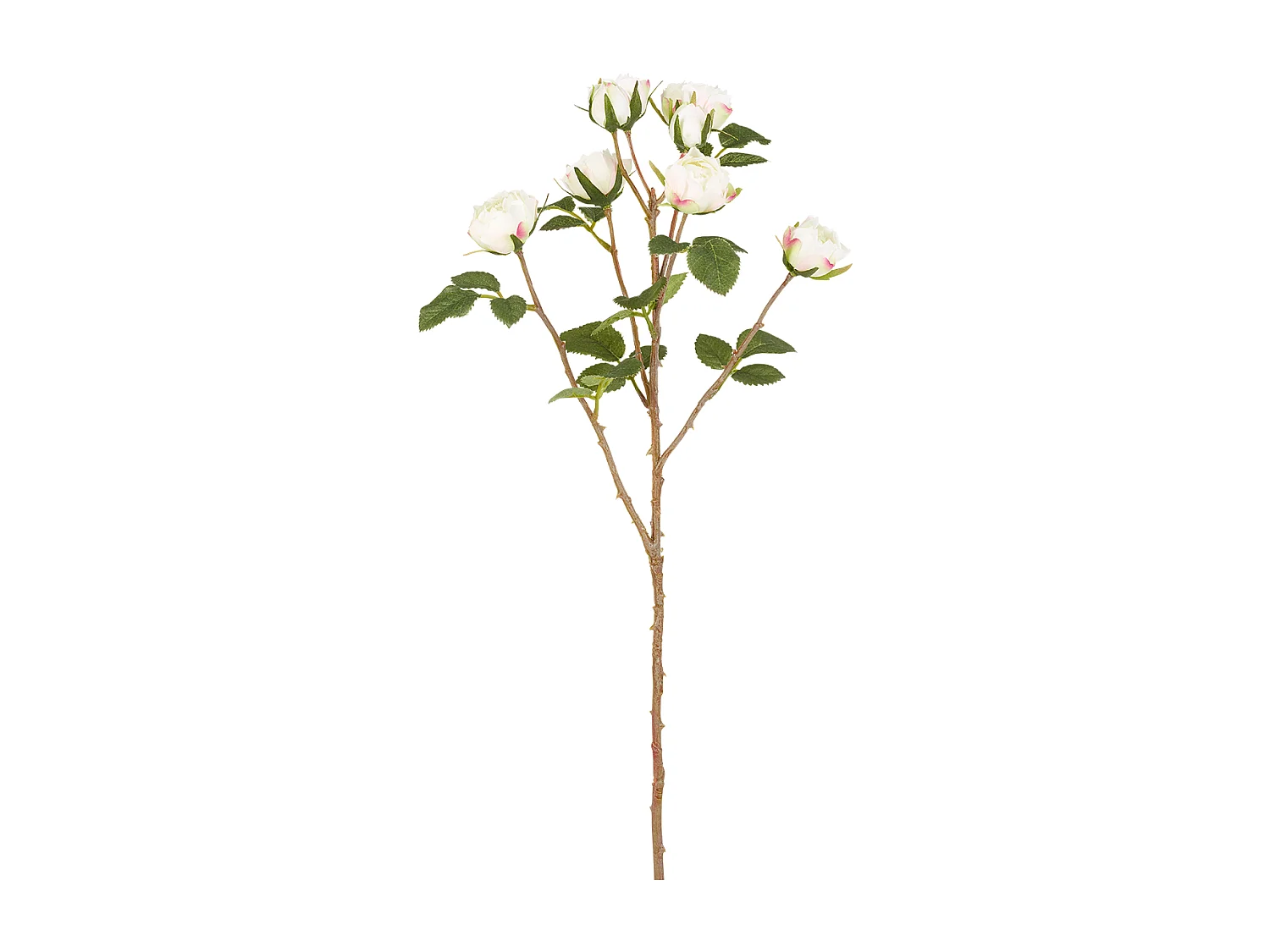 Tige de Roses Tea - Rouge