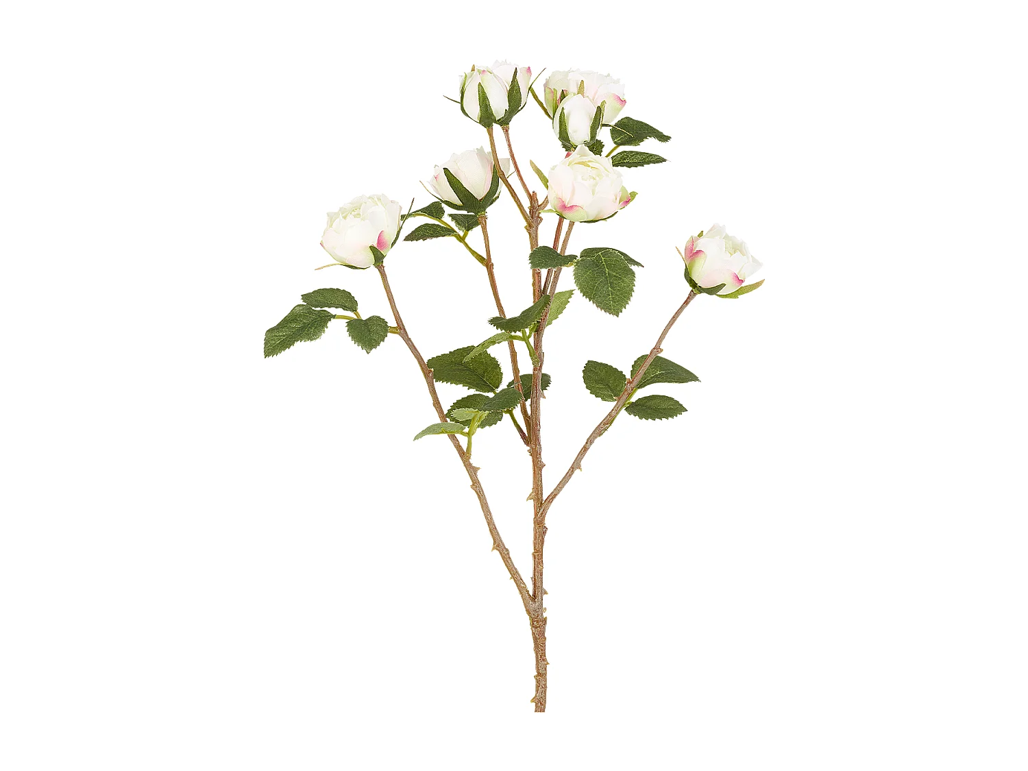 Tige de Roses Tea - Rouge