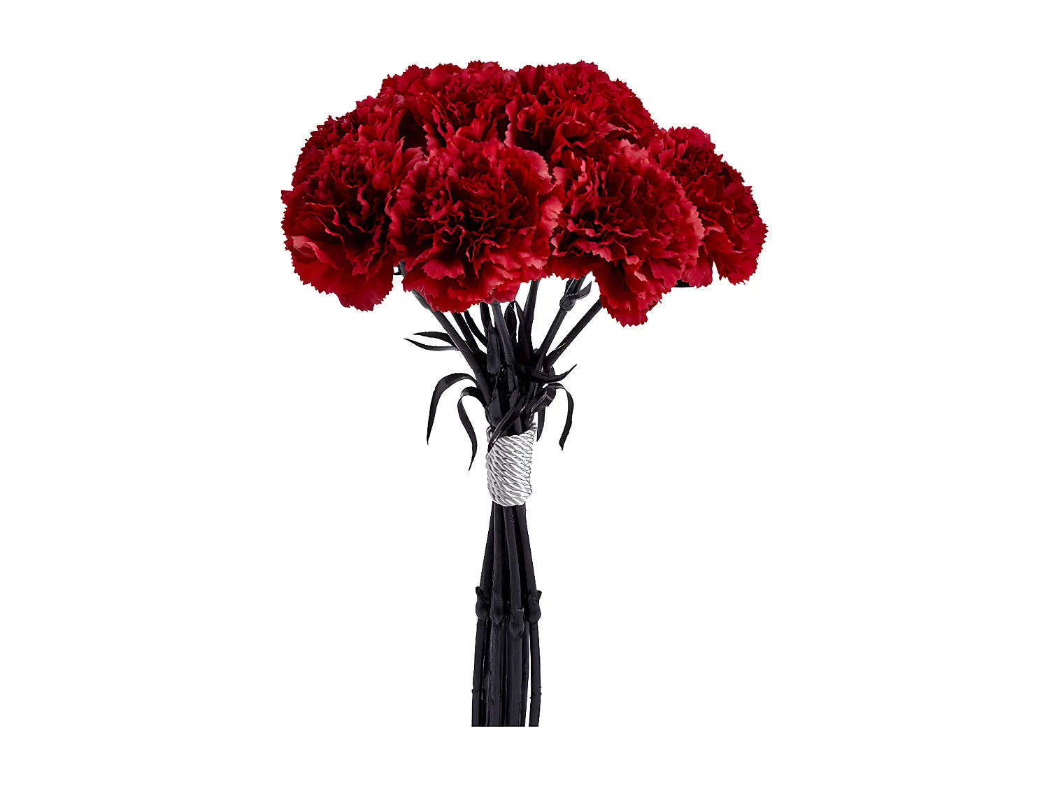 Bouquet d'Oeillets - Blanc