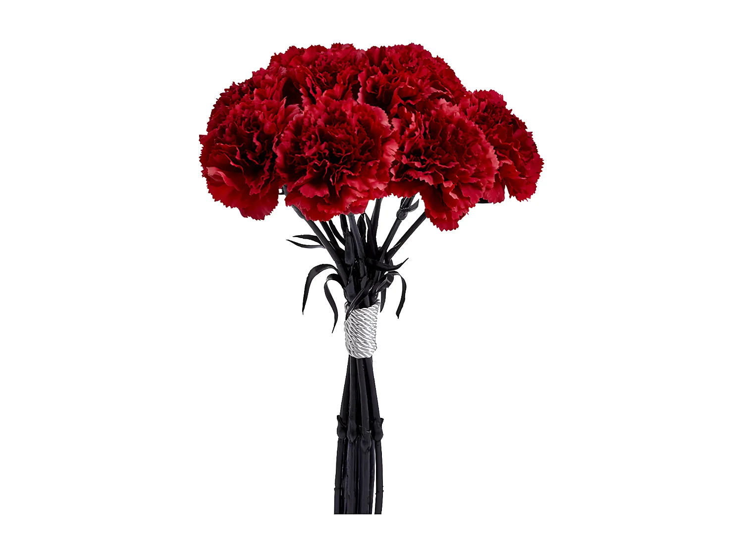 Bouquet d'Oeillets - Blanc