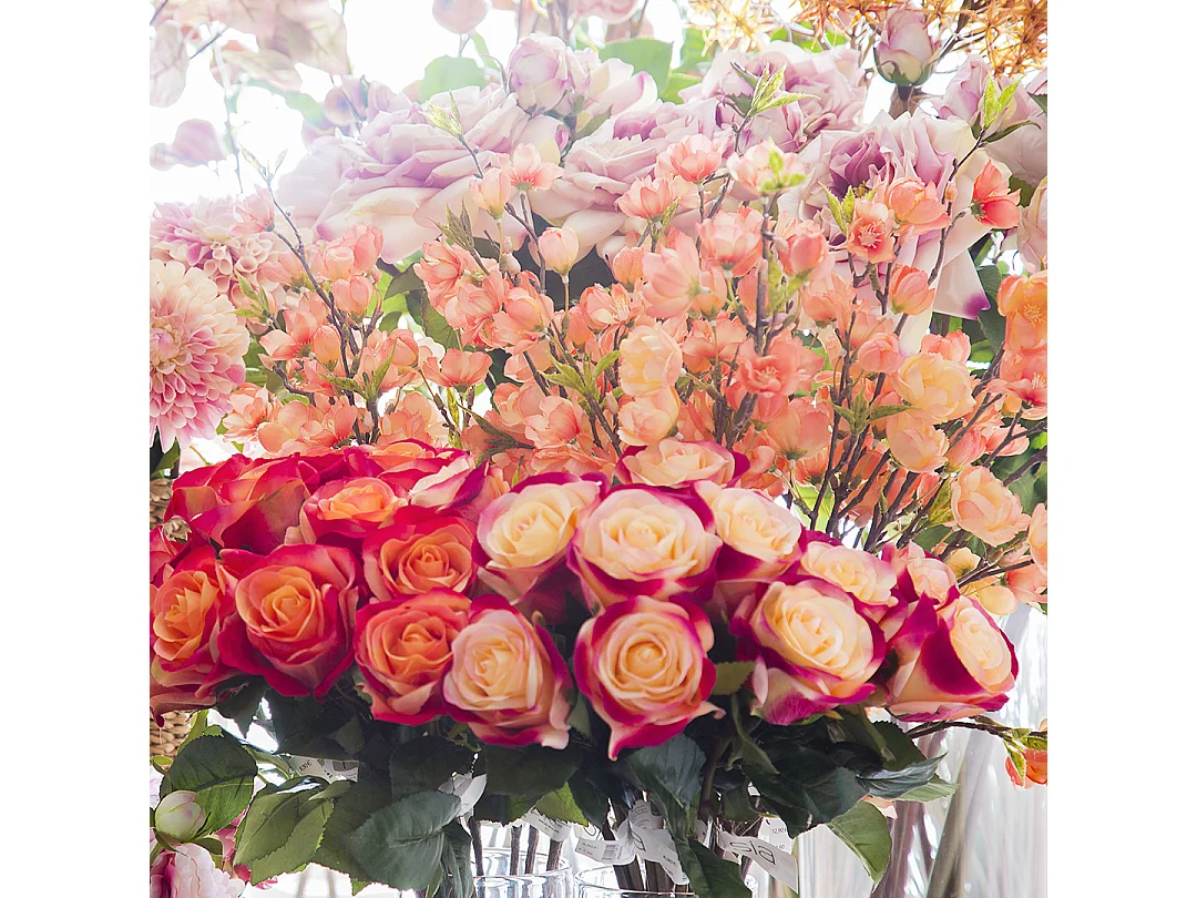 Tige de Rose Diane - Rouge orangé