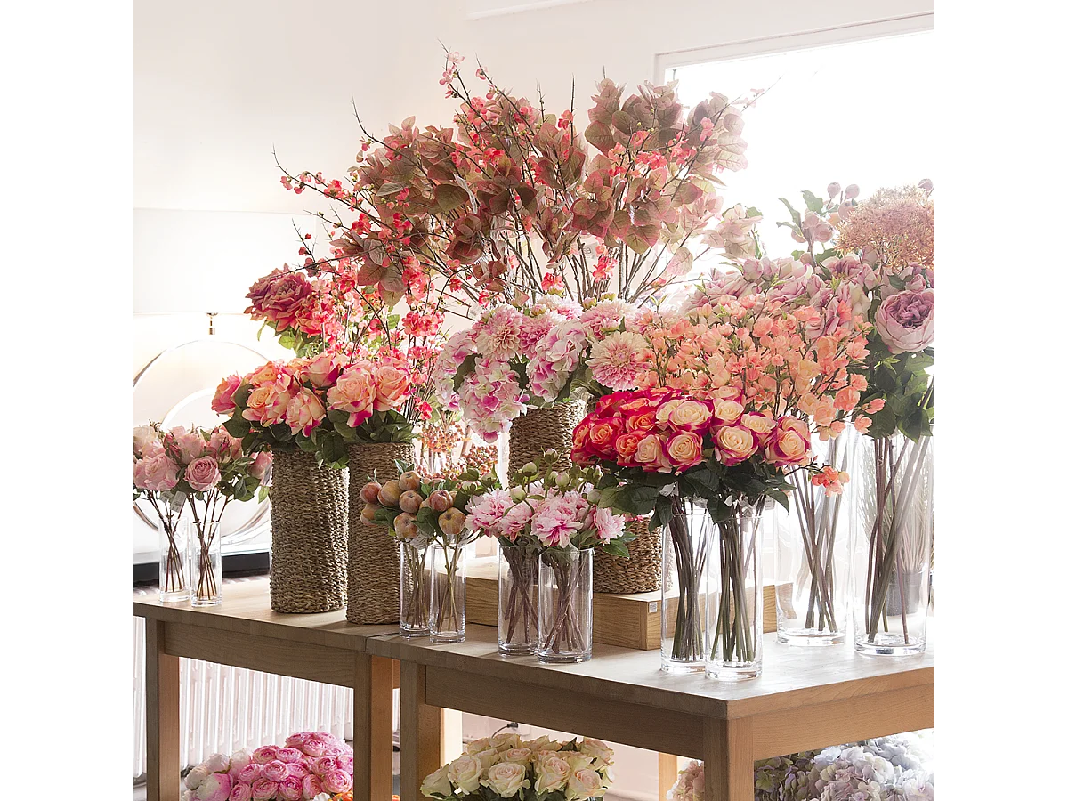 Tige de Rose Diane - Fuchsia