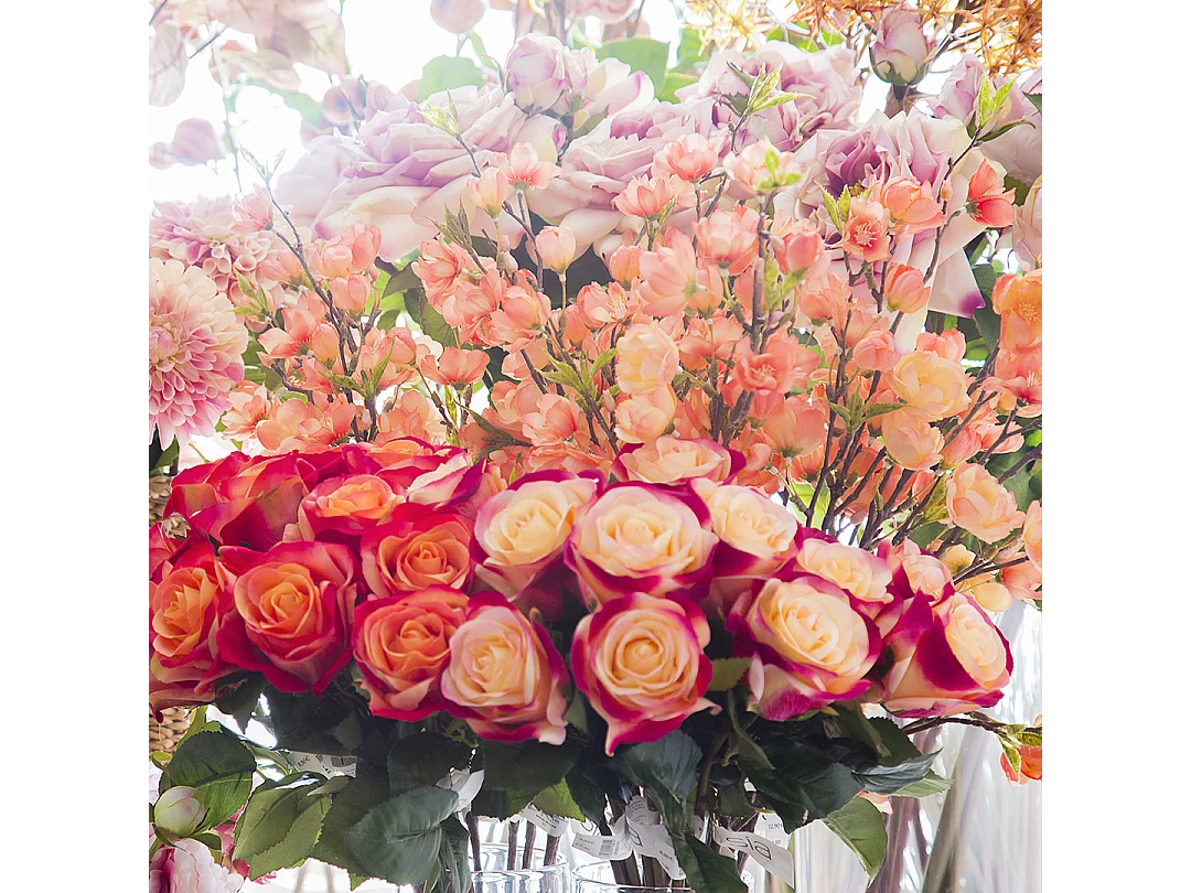 Tige de Rose Diane - Fuchsia