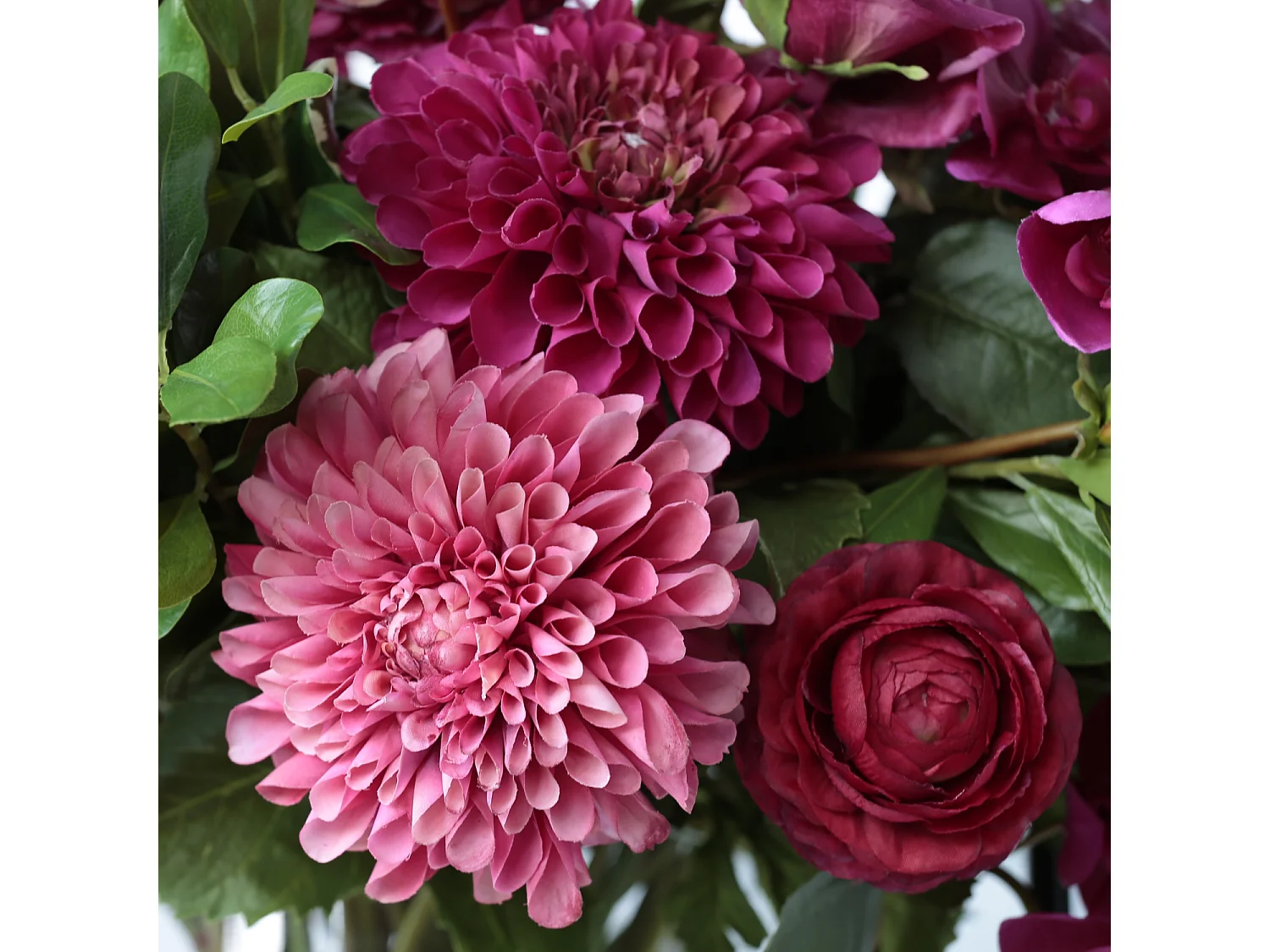 Tige de Dahlia Candice - Bordeaux