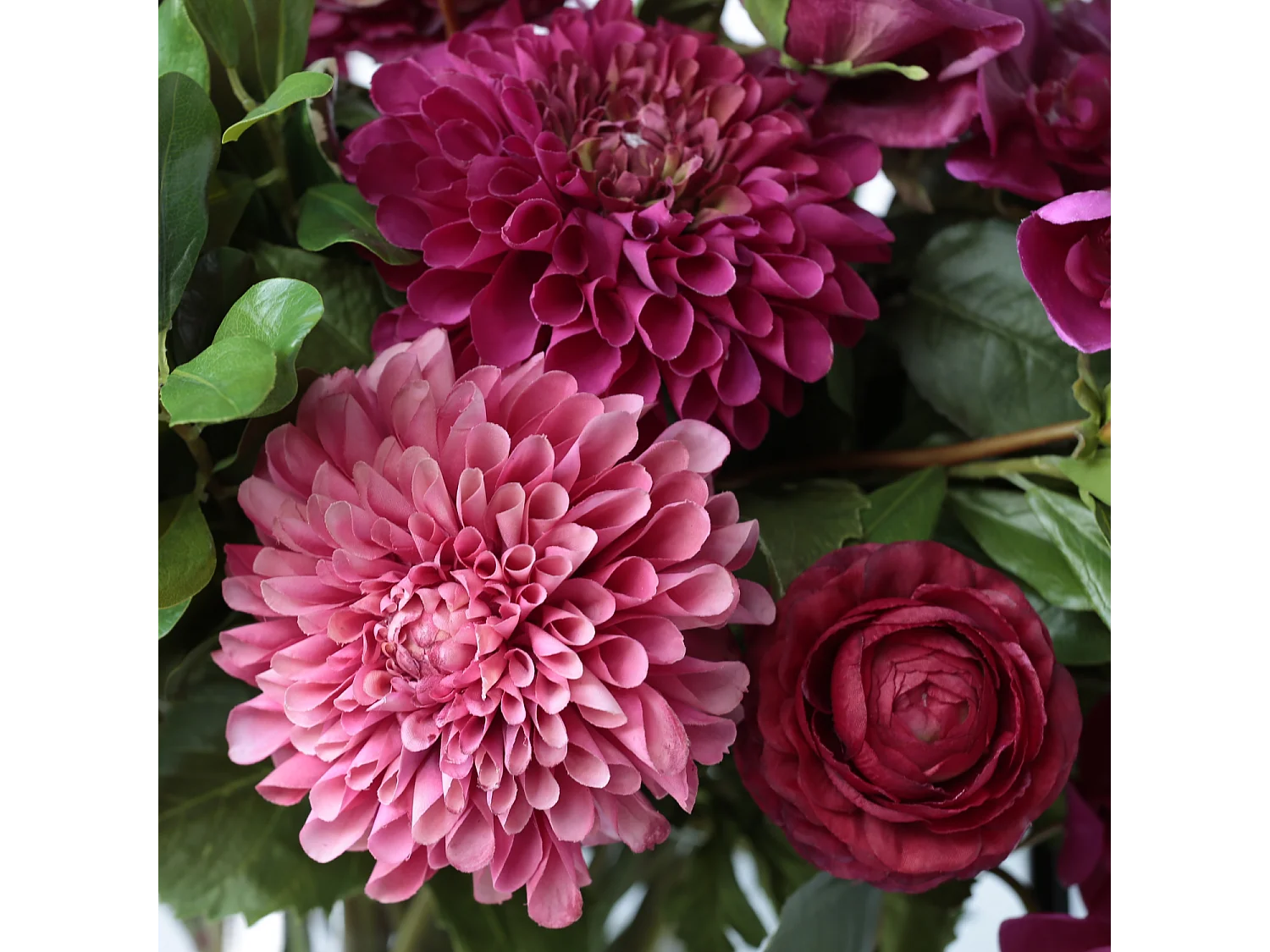 Tige de Dahlia Candice - Bordeaux