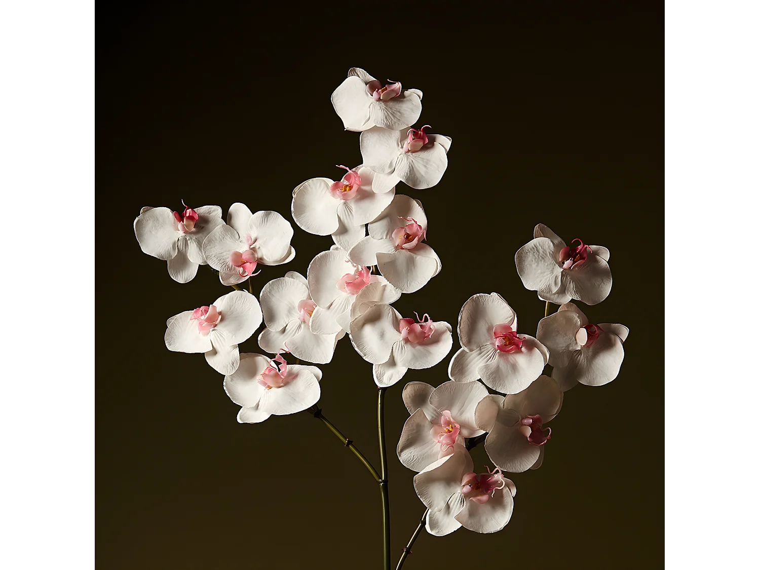 Tige d'Orchidée Phalaenopsis - Rose / 66 cm