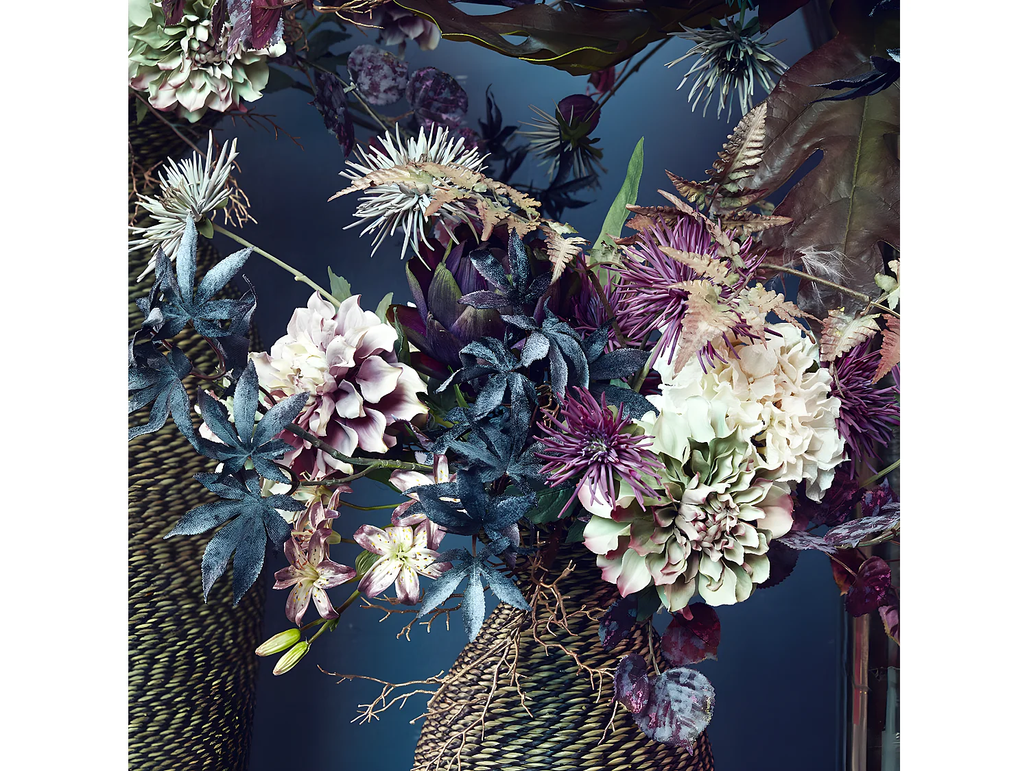 Tige de Chrysanthème Spider - Blanc