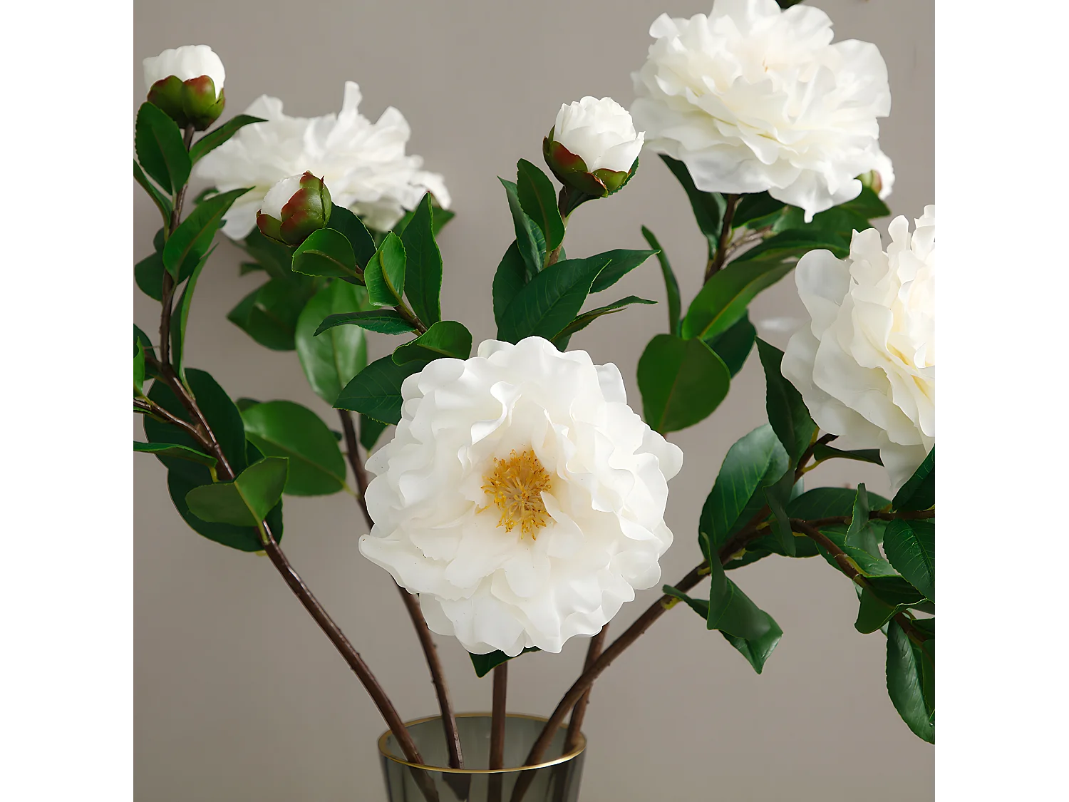 Tige de Camélia - Rouge