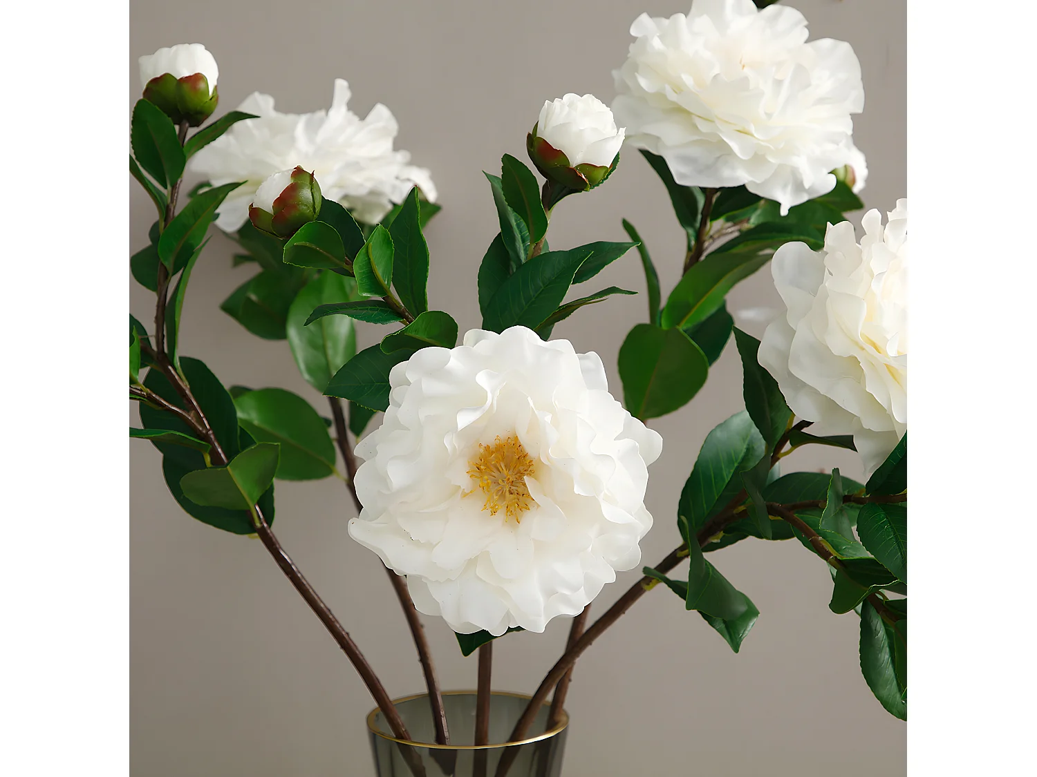Tige de Camélia - Blanc