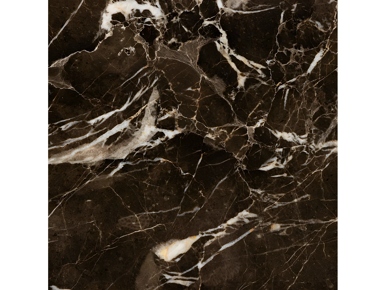 Tangara - Table d'appoint ronde en marbre ø52cm - Marron