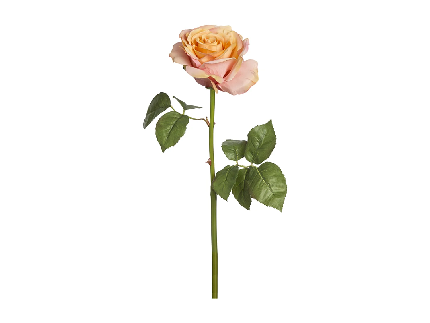 Tige de Rose Sarah - Rouge orangé / 57 cm