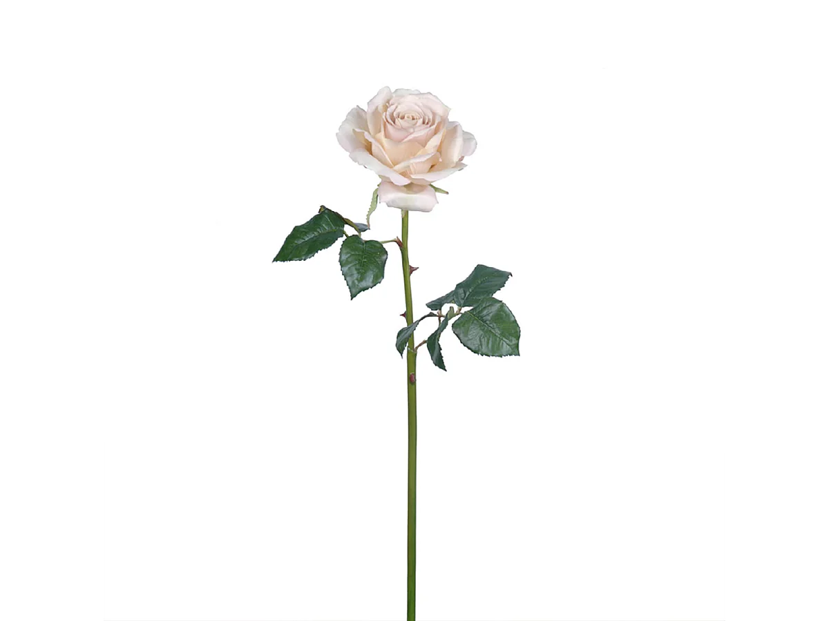 Tige de Rose Sarah - Rouge orangé / 57 cm