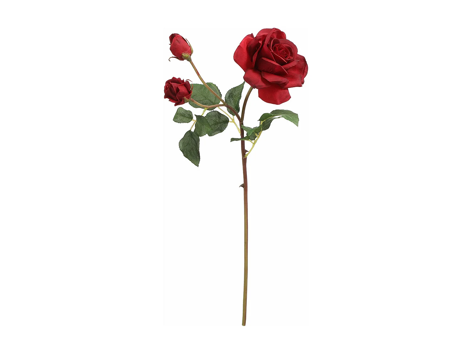 Tige de Rose Avec Bourgeon - Rouge / 53 cm