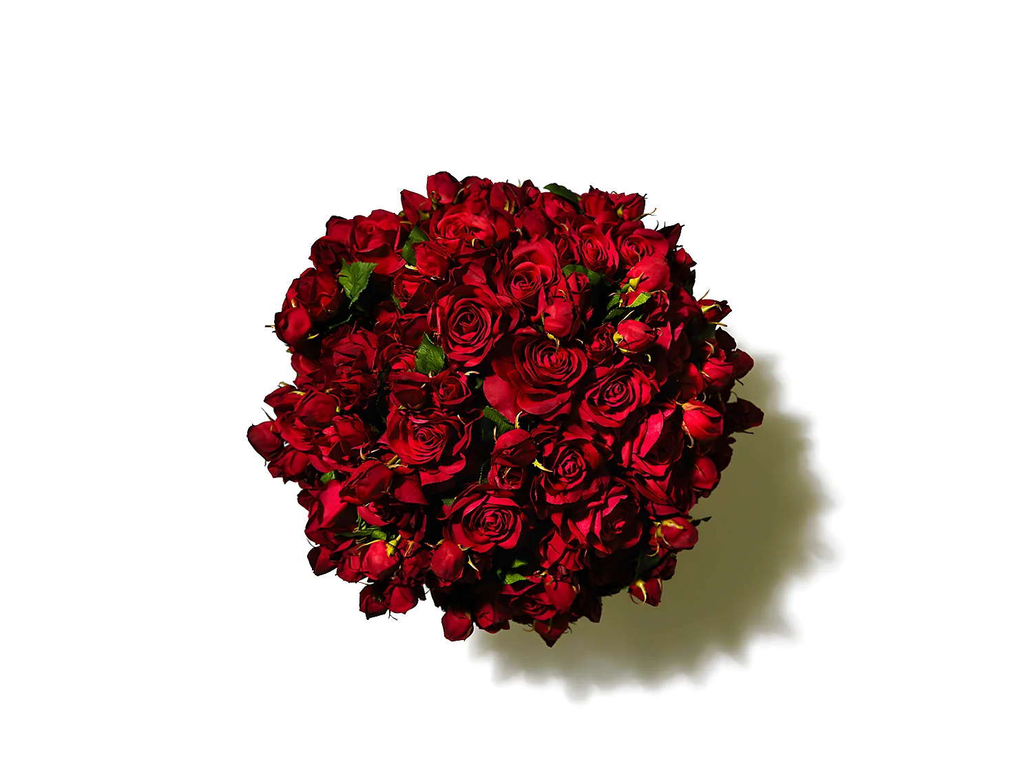 Tige de Rose Avec Bourgeon - Blanc / 53 cm