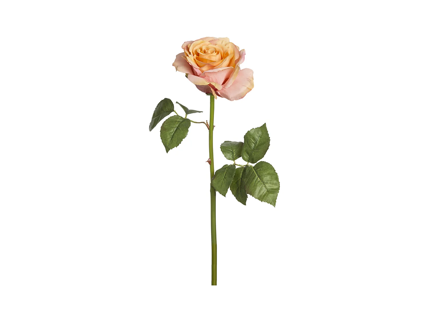 Tige de Rose Sarah - Rouge / 57 cm