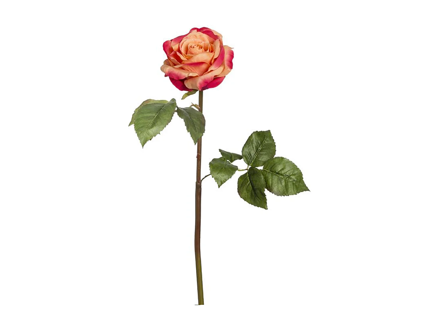 Tige de Rose Sarah - Rouge / 57 cm