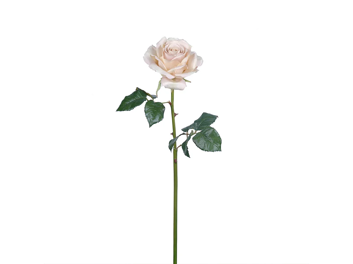 Tige de Rose Sarah - Orange / 57 cm