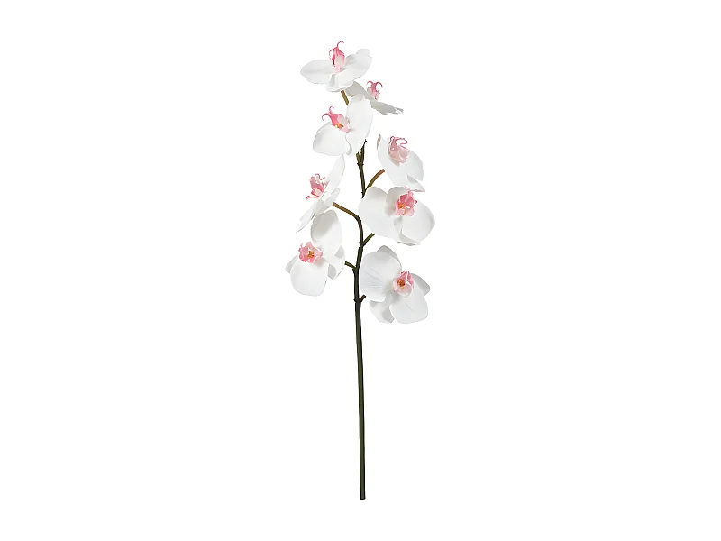 Tige d'Orchidée Phalaenopsis - Rose / 50 cm