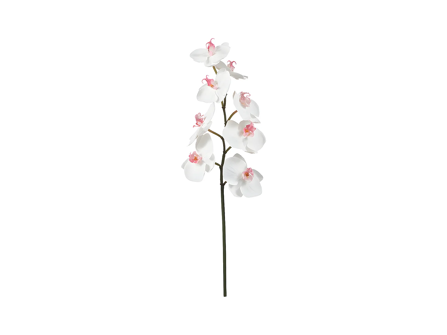 Tige d'Orchidée Phalaenopsis - Rose / 50 cm