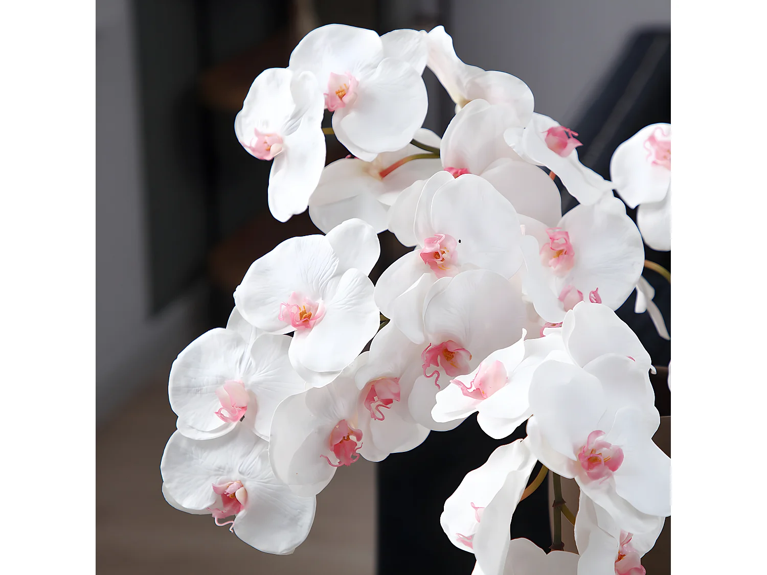 Tige d'Orchidée Bandailan - Rose / 66 cm