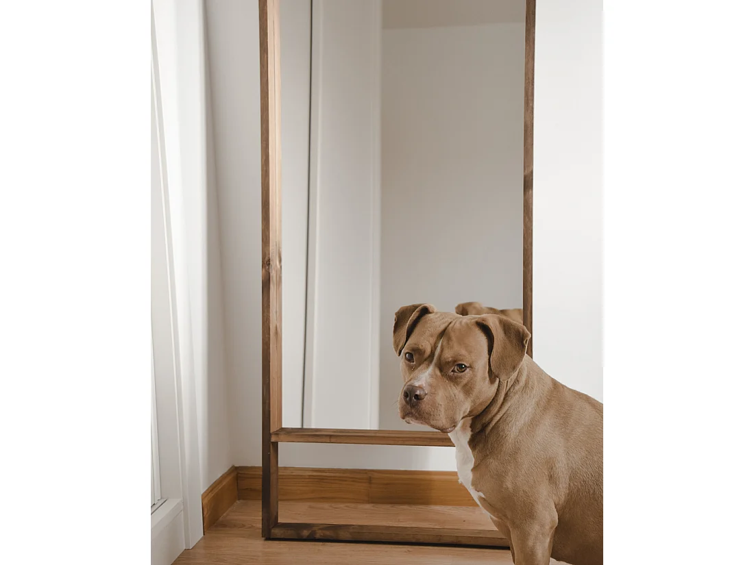 Espejo de madera maciza tono roble oscuro de 160x80cm - WALLS - DECOWOOD