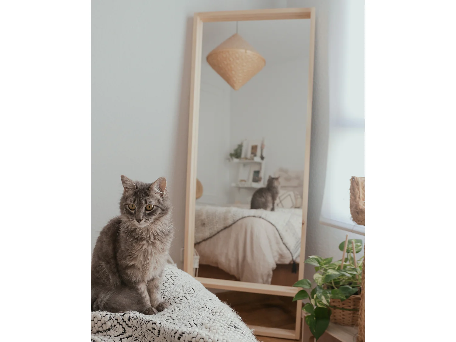 Miroir en bois couleur naturel 60x160cm