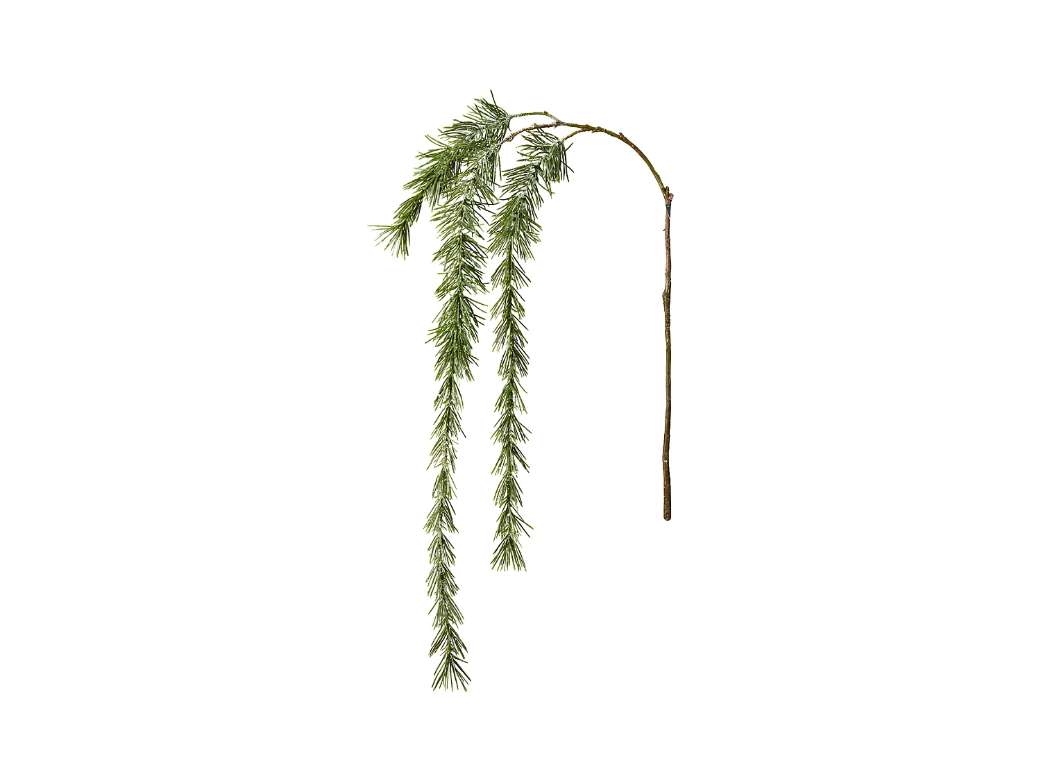 Branche de Pin Enneigée - Vert
