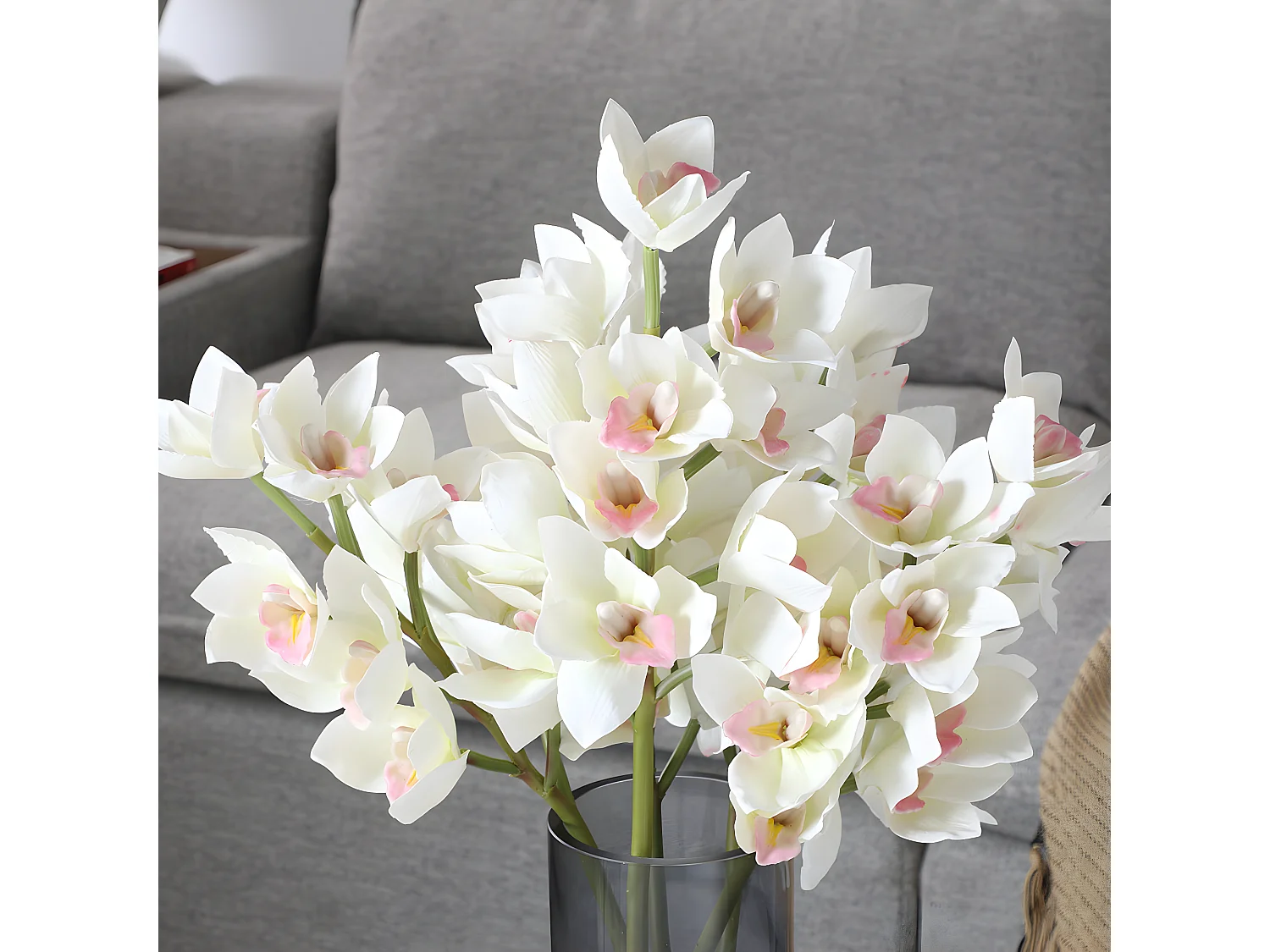 Tige d'Orchidée Cymbidium - Blanc / 62 cm