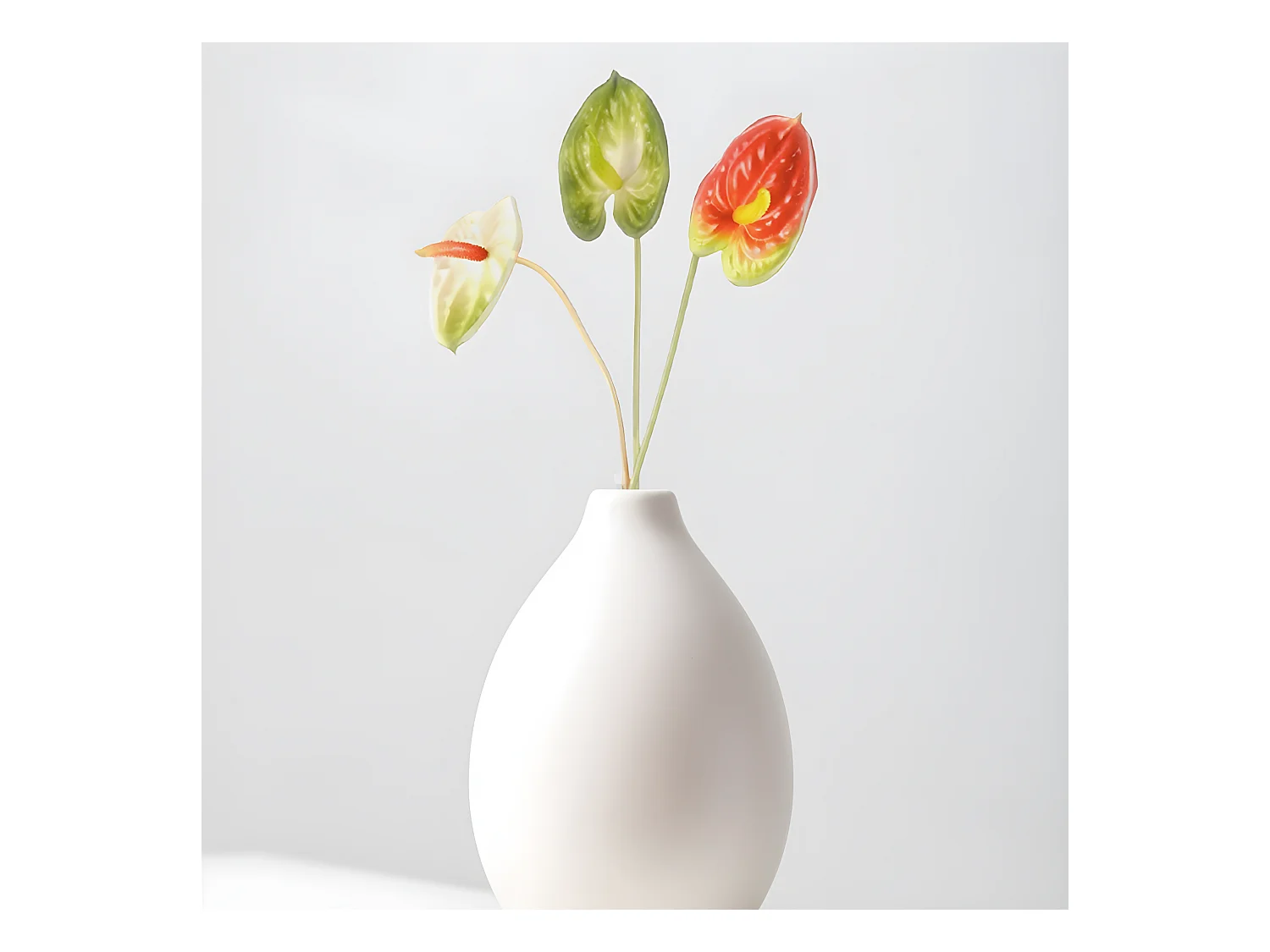 Tiges d'Anthurium - Vert / 61 cm