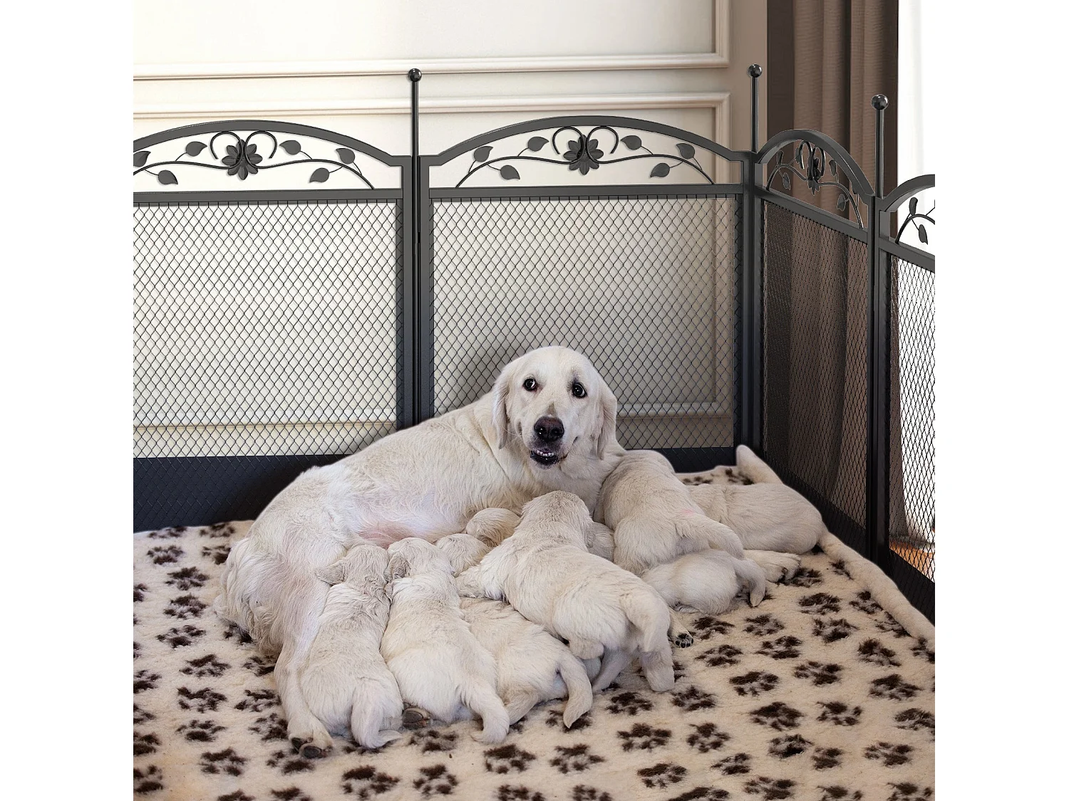 Enclos chien acrylique grande taille parc grand chien intérieur en métal caisse de mise bas pour chiens chat lapin 163x102.5x80cm