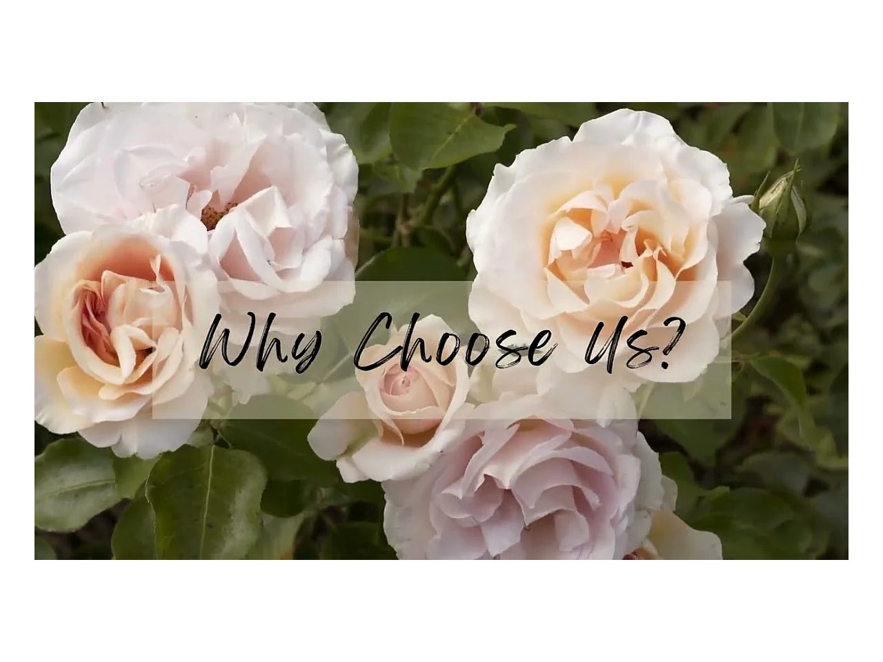 Espejo de pared dorado para decoración de sala de estar - 60,5 x 5 x 91,6 cm, espejo de arco vintage para baño, chimenea, entrada 91,6 x 60,5 cm