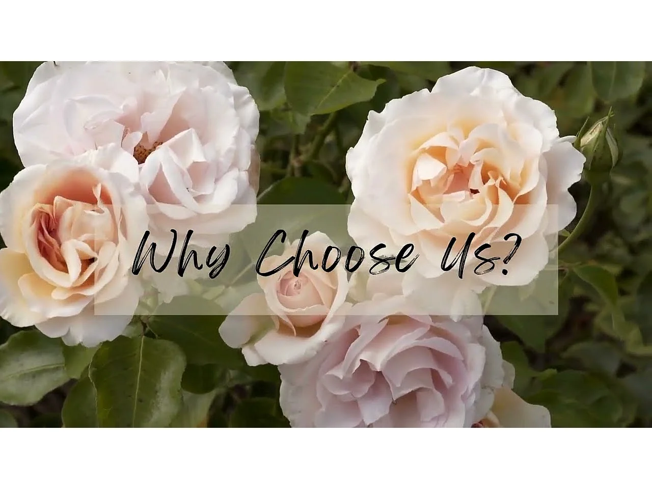 Gouden wandspiegel woonkamerdecoratie - 60,5x5x91,6cm vintage boogspiegel voor badkamer open haard entree 91,6x60,5cm