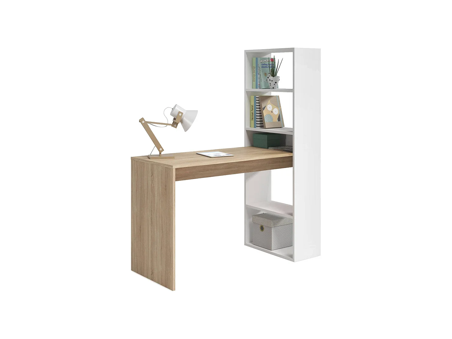 Bureau Denton, Bureau multifonction réversible avec bibliothèque 5 étagères, Table d'étude ou de bureau pour support livre PC, 120x53h144 cm, Blanc et Chêne