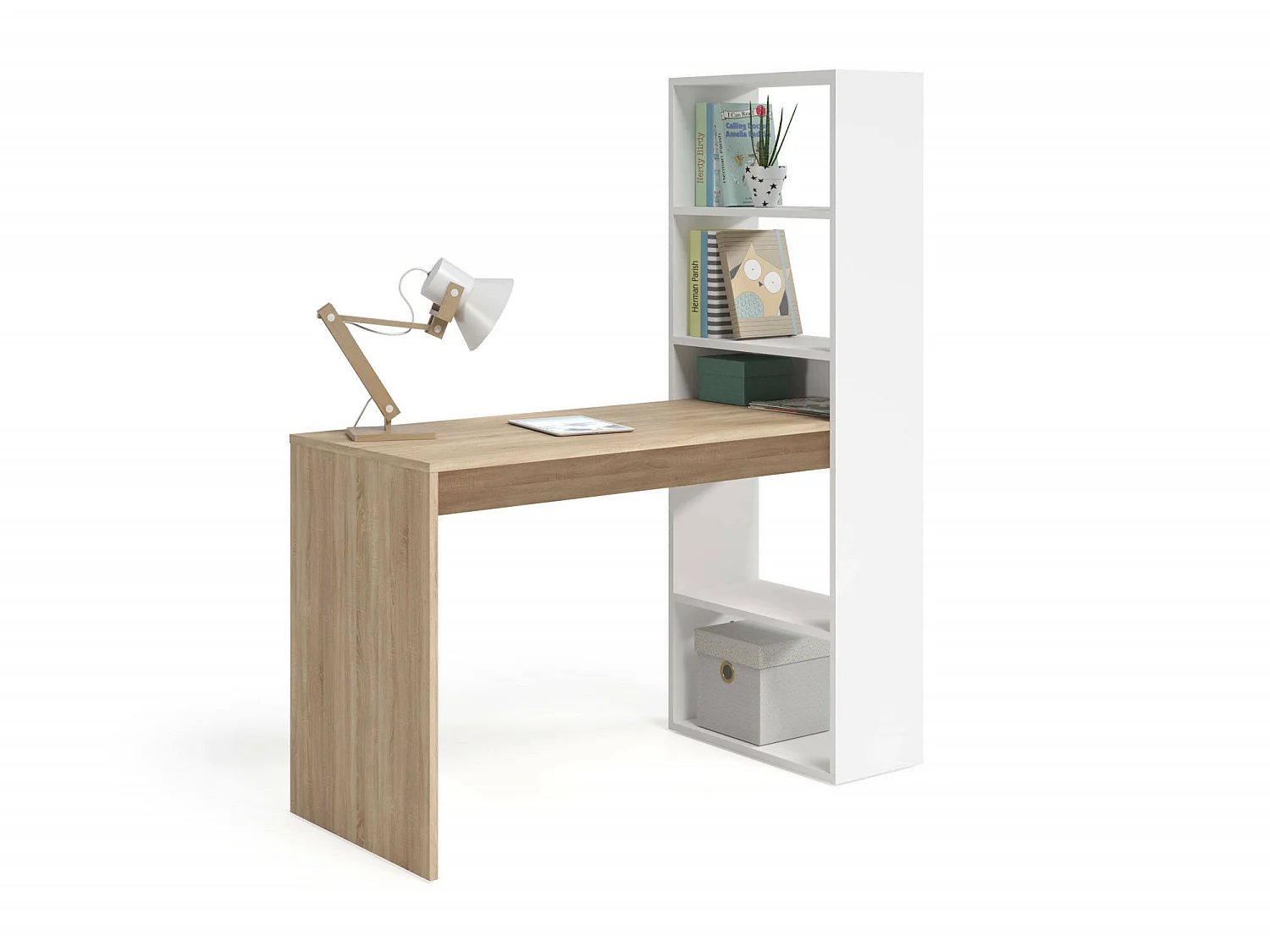 Bureau Denton, Bureau multifonction réversible avec bibliothèque 5 étagères, Table d'étude ou de bureau pour support livre PC, 120x53h144 cm, Blanc et Chêne