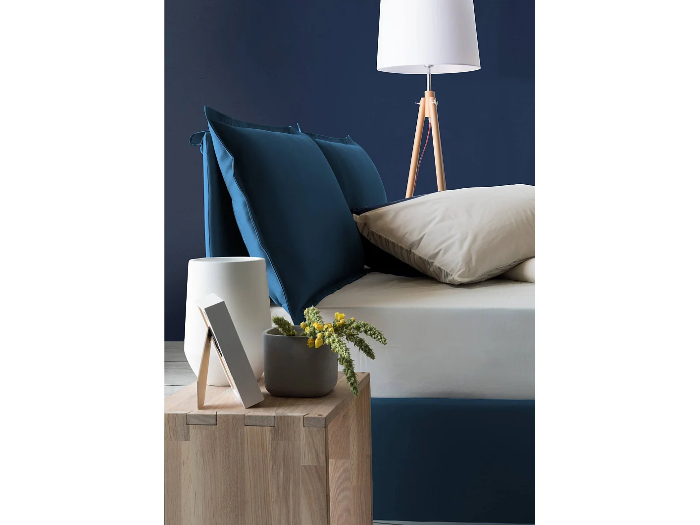 Lit double Denise, Lit coffre avec revêtement en tissu, 100% Made in Italy, Ouverture frontale, avec matelas 160x190 cm inclus, Bleu