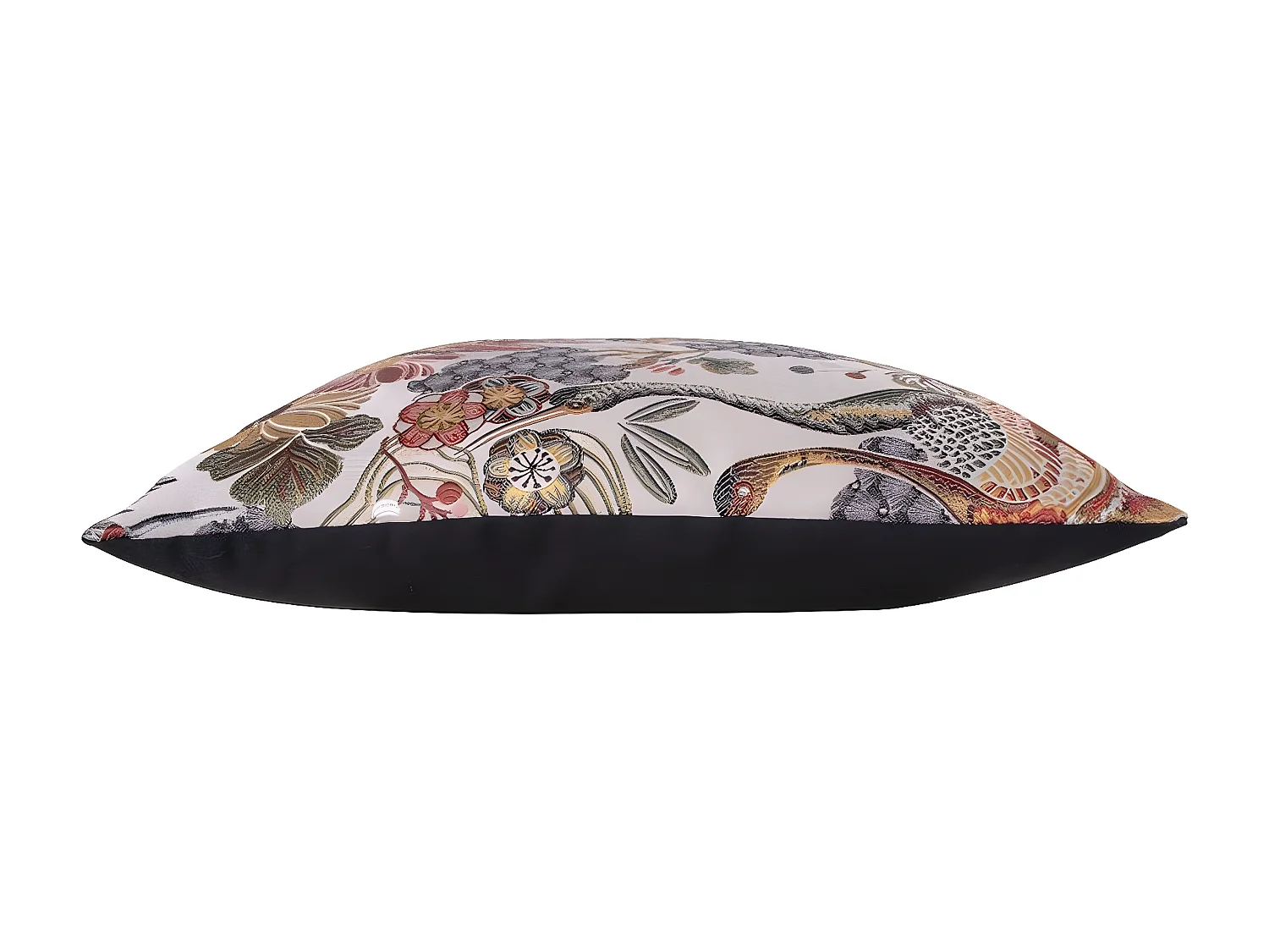 Decoratief Kussen Alvito, Veelkleurig, 45x60x15 cm, Epikasa