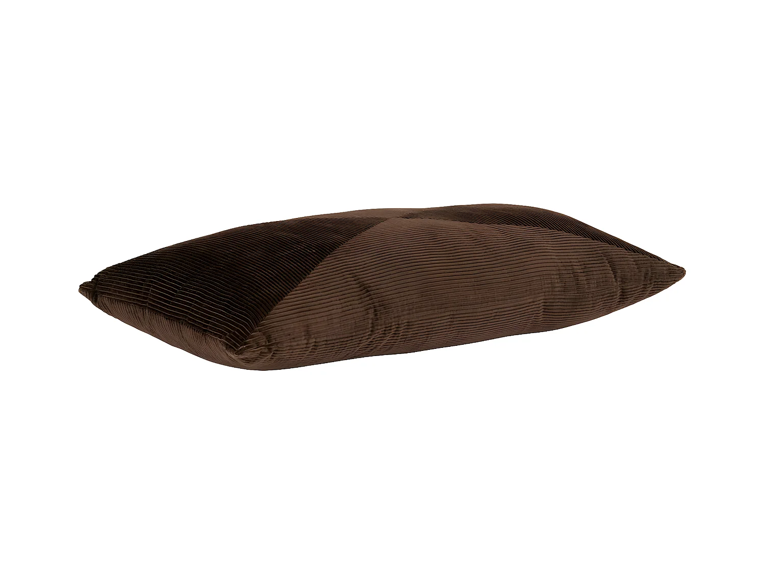 Coussin Décoratif Griffith, Marron, 60x30x1 cm, EPIKASA