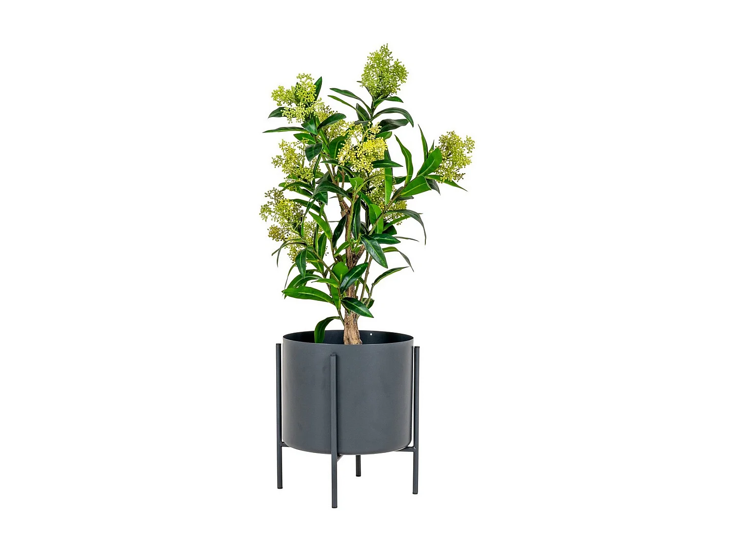 Plante Artificielle Skimmia, Vert, 40x40x75 cm, EPIKASA