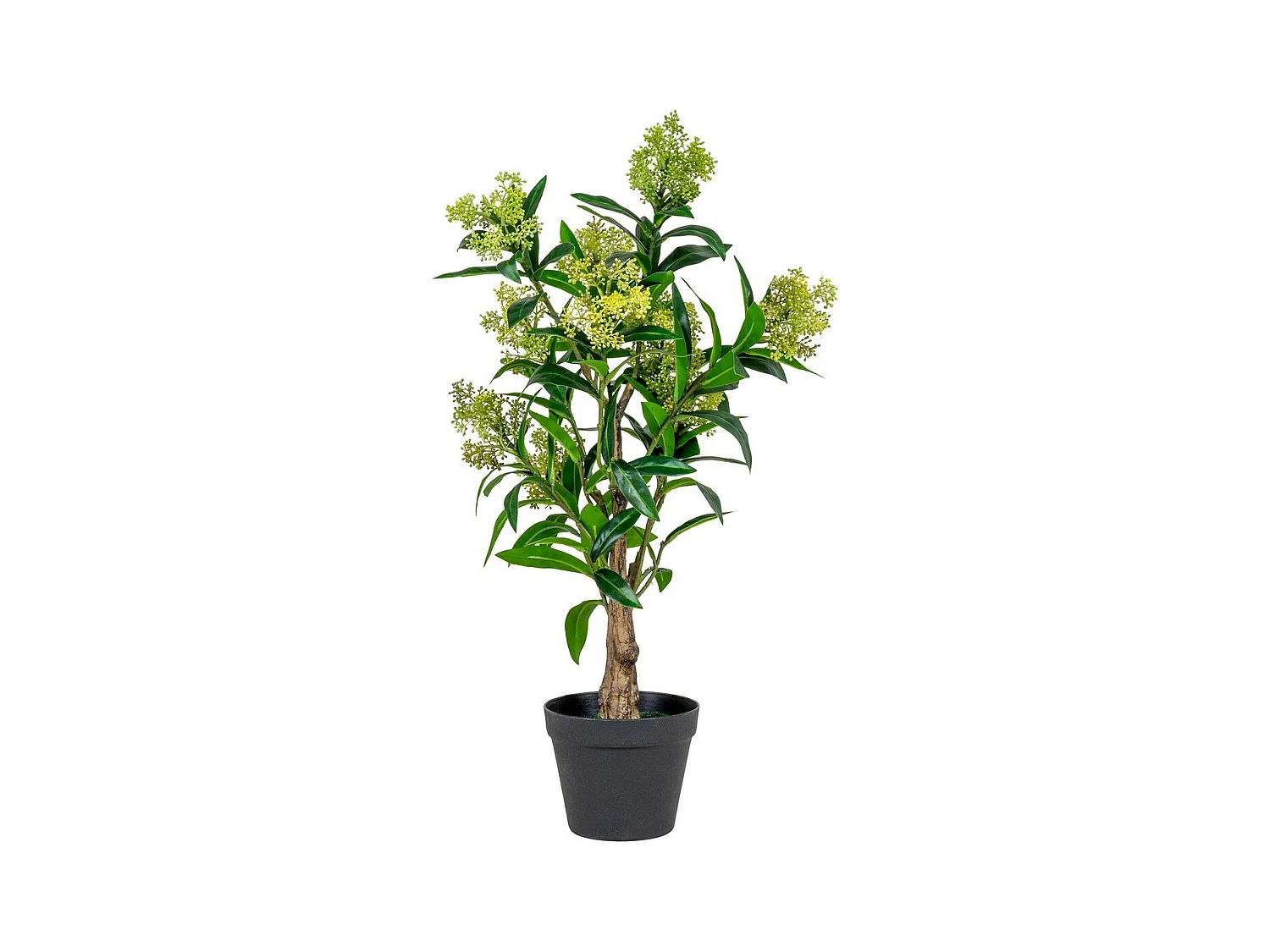 Plante Artificielle Skimmia, Vert, 40x40x75 cm, EPIKASA