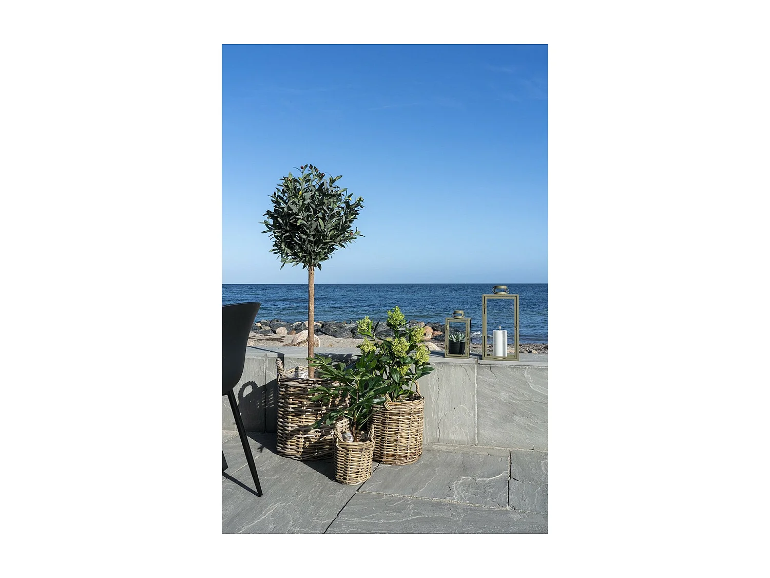 Kunstplant Skimmia, Groen, 40x40x75 cm, Seven Design