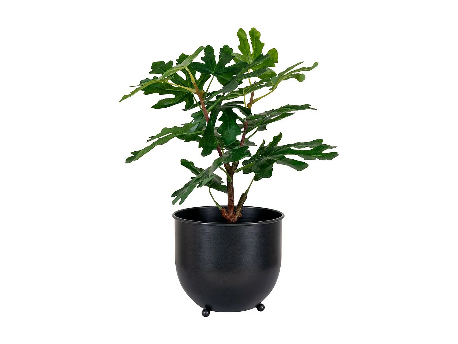 Pianta Artificiale Fig, Verde, 40x40x60 cm, EPIKASA