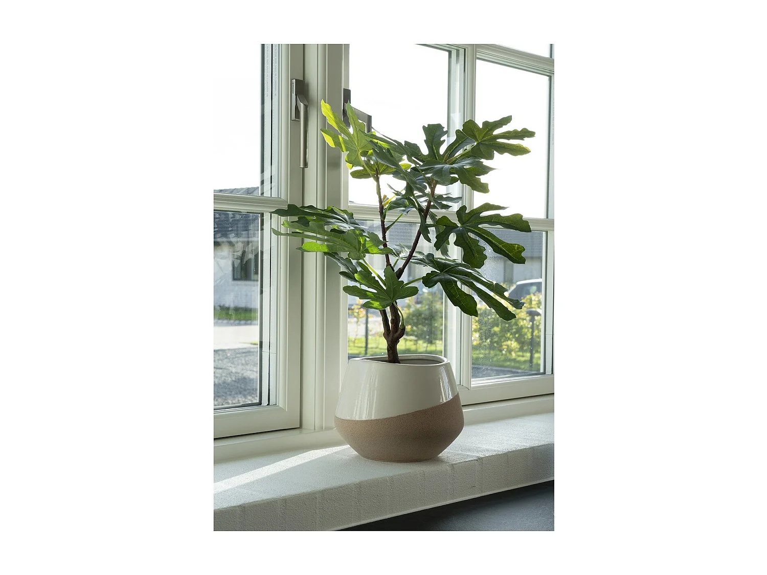 Pianta Artificiale Fig, Verde, 40x40x60 cm, EPIKASA