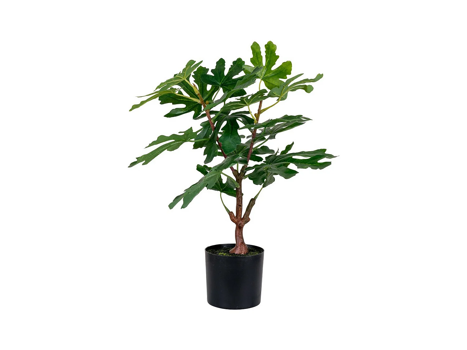 Plante Artificielle Fig, Vert, 40x40x60 cm, EPIKASA