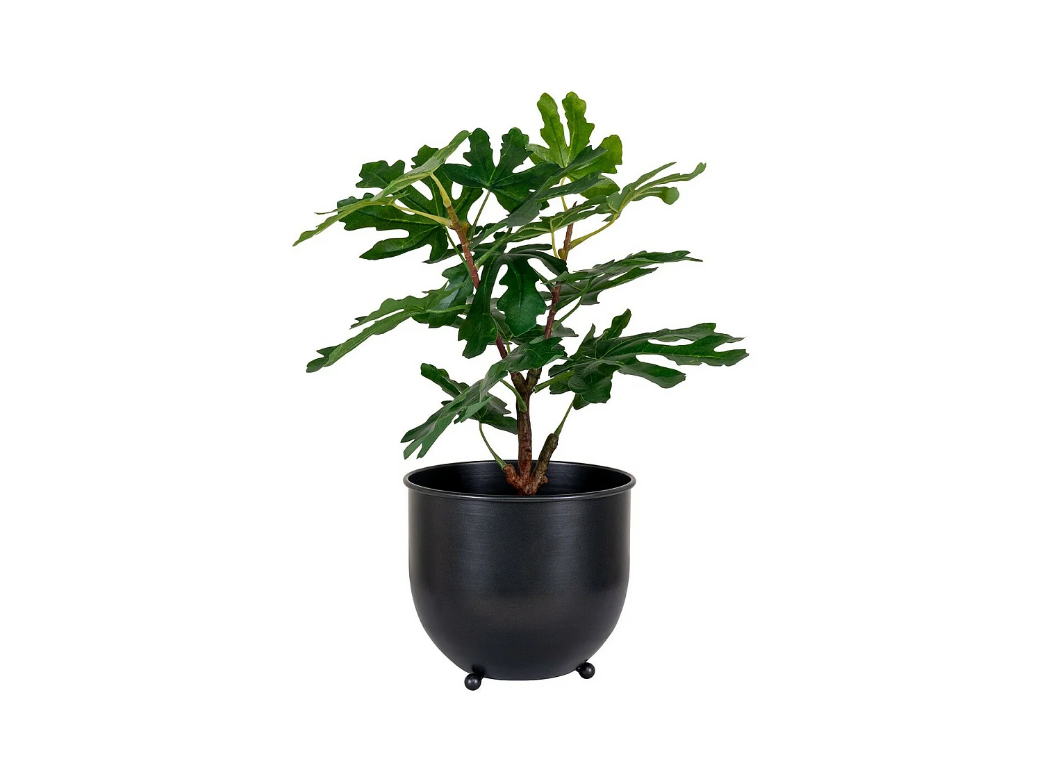 Plante Artificielle Fig, Vert, 40x40x60 cm, EPIKASA