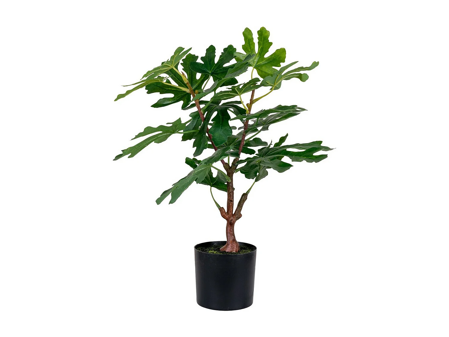 Kunstplant Ficus, Groen, 40x40x60 cm, Seven Design