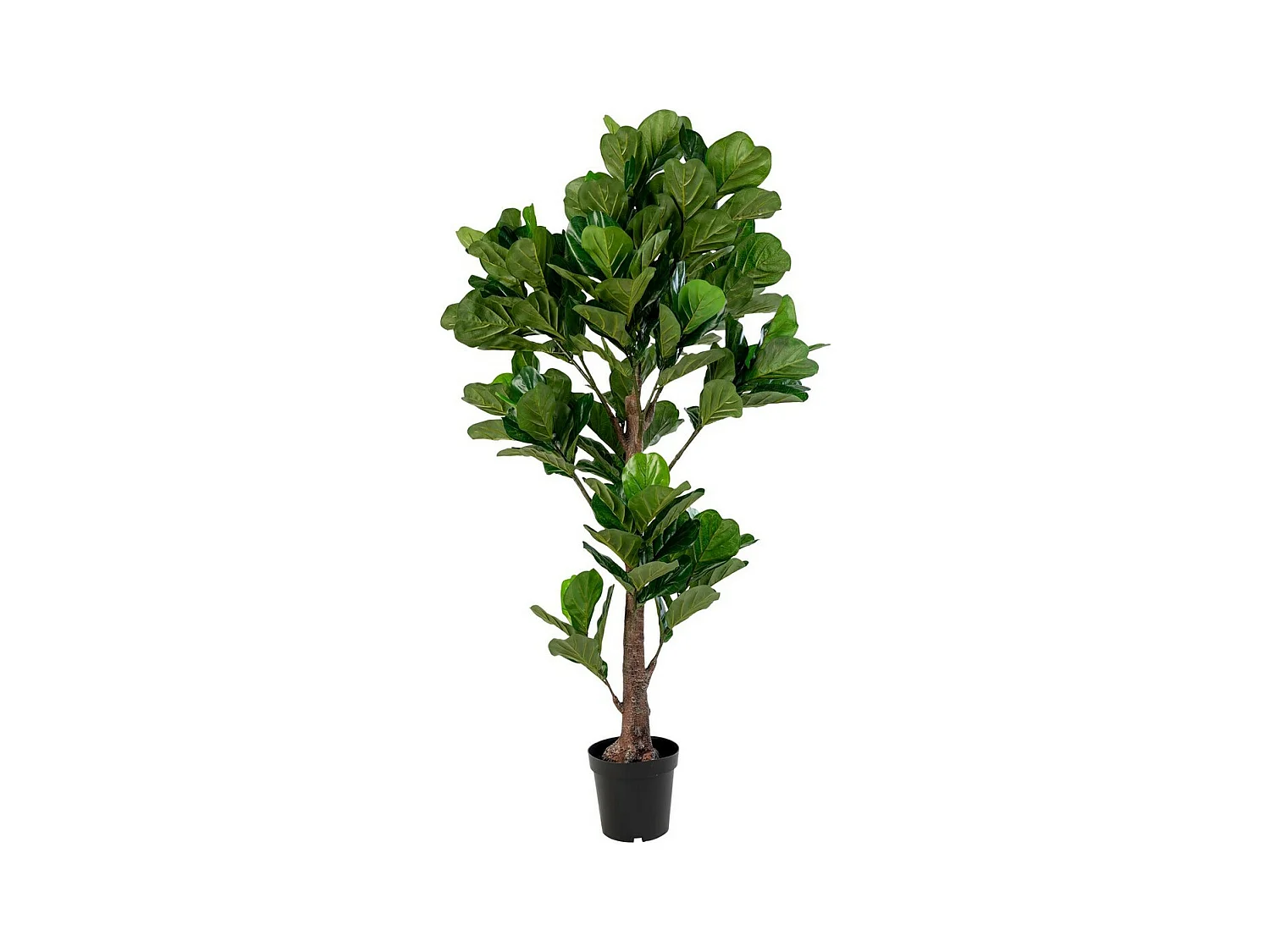 Plante Artificielle Fiddle, Vert, 81x93x190 cm, EPIKASA