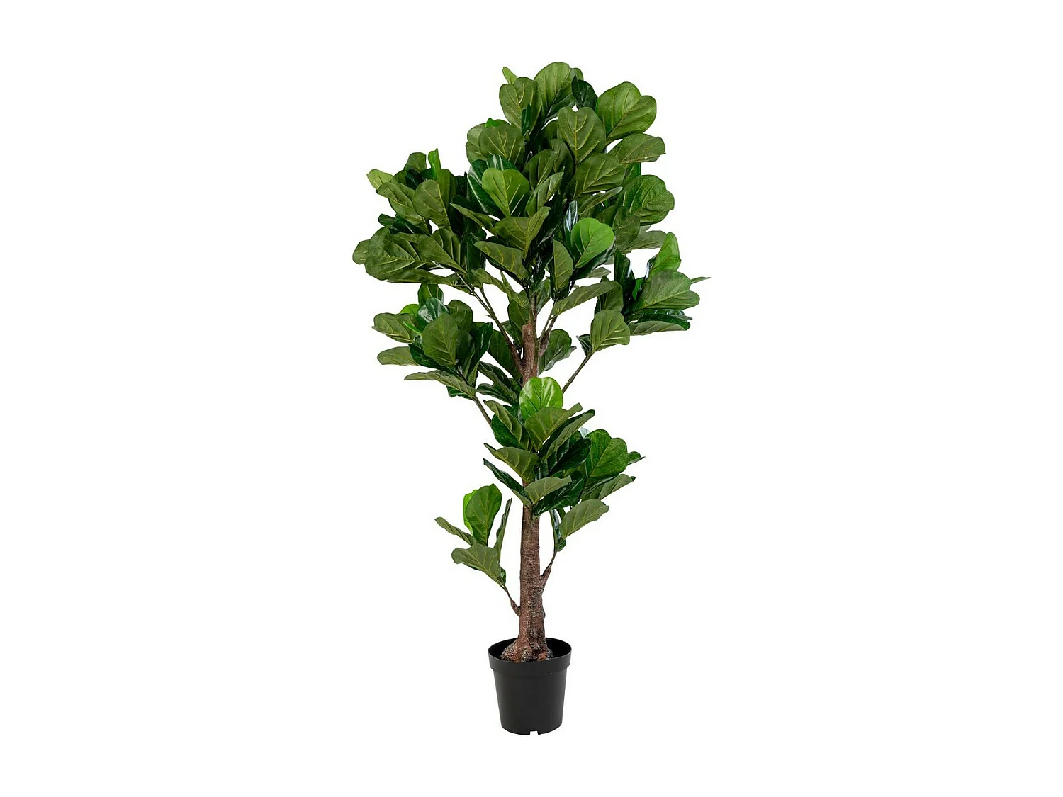 Kunstplant Ficus Lyrata, Groen, 81x93x190 cm, Seven Design
