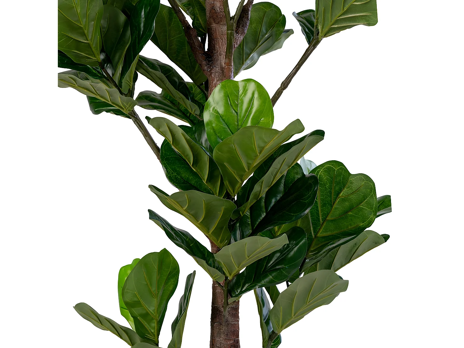 Kunstplant Ficus Lyrata, Groen, 81x93x190 cm, Seven Design