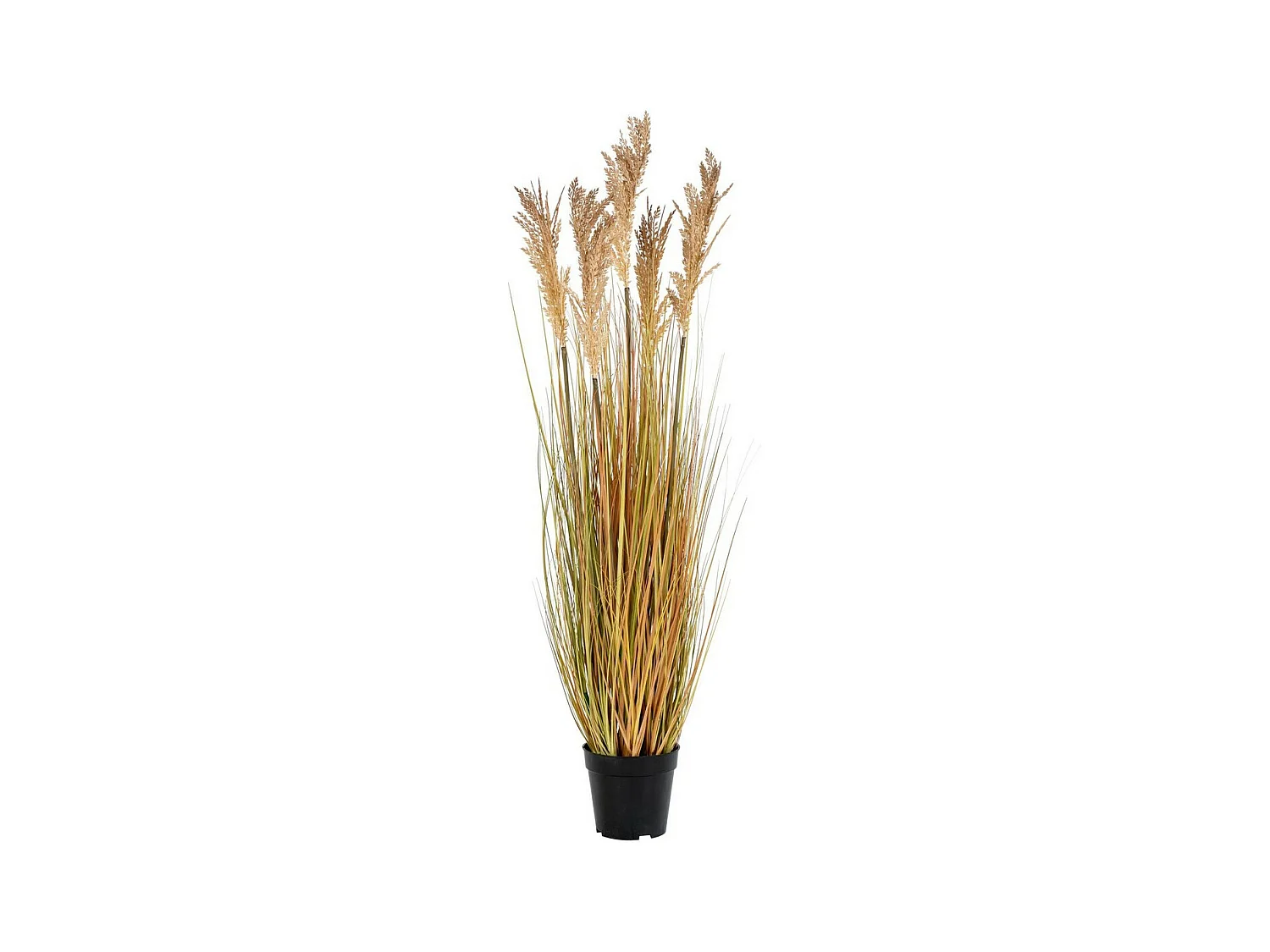 Plante Artificielle Sorghum, Marron, 35x30x110 cm, EPIKASA