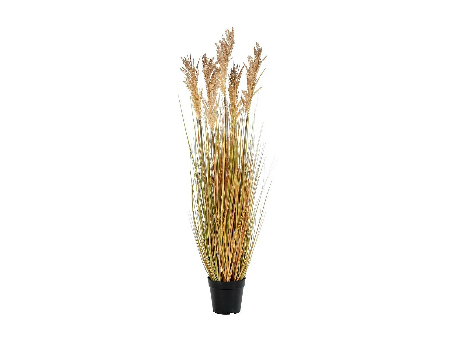 Plante Artificielle Sorgho, Marron, 35x30x110 cm, Seven Design